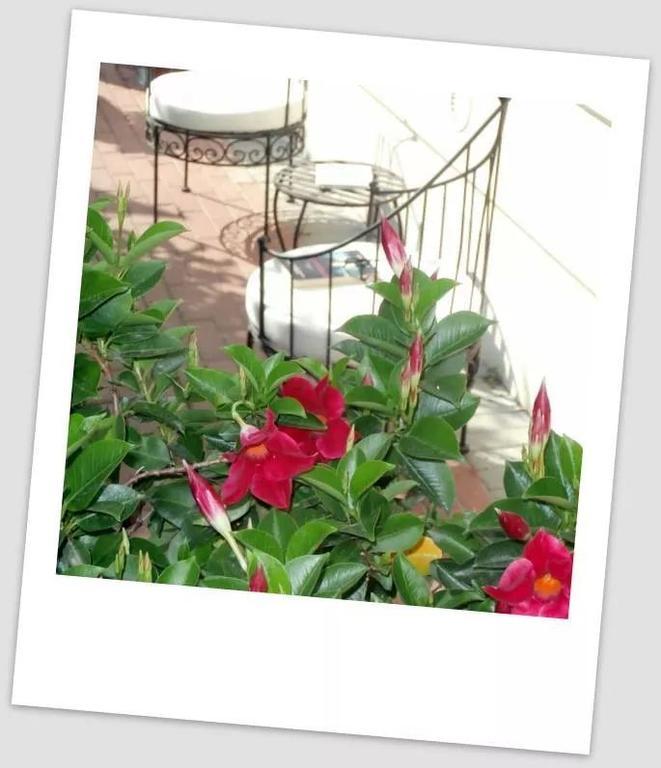 B & B Da Ferro Massarosa Luaran gambar